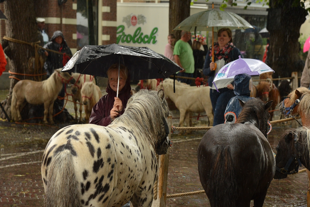 Om het paard toch een beetje te beschermen hield dit kind maar een paraplu boven zijn hoofd. Foto's | Nelleke de Vries